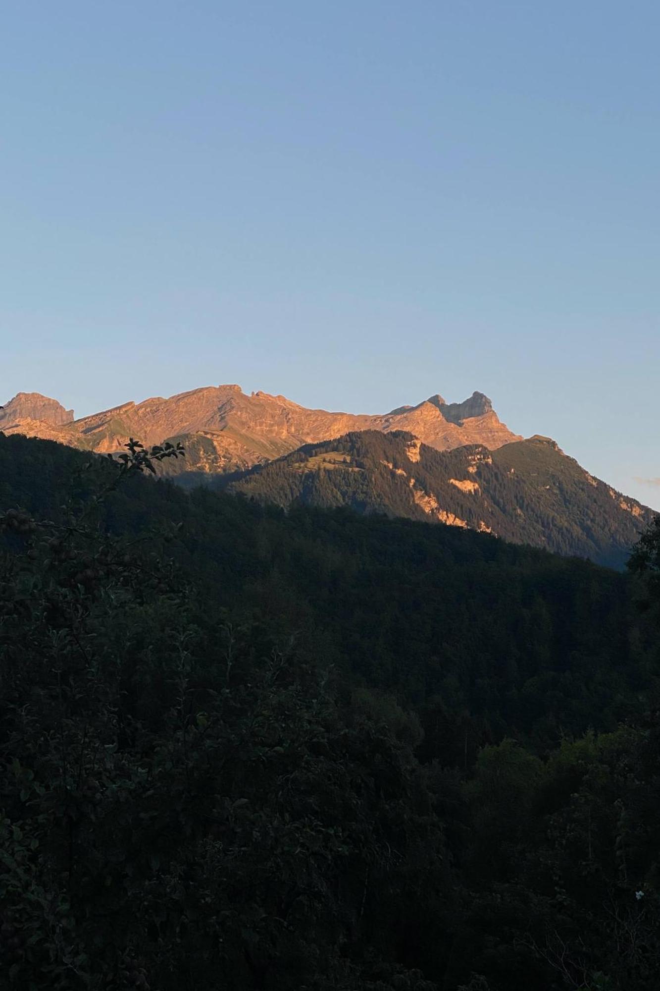 Villa La Petite Grange Villars-sur-Ollon Esterno foto