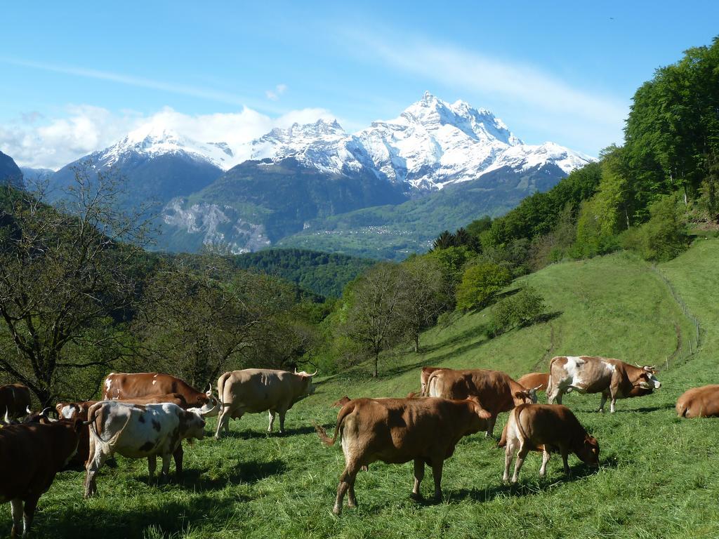 Villa La Petite Grange Villars-sur-Ollon Esterno foto