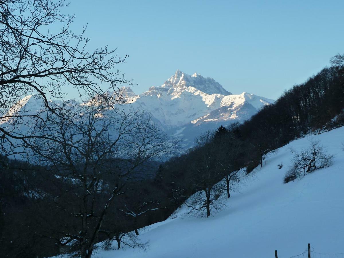 Villa La Petite Grange Villars-sur-Ollon Esterno foto