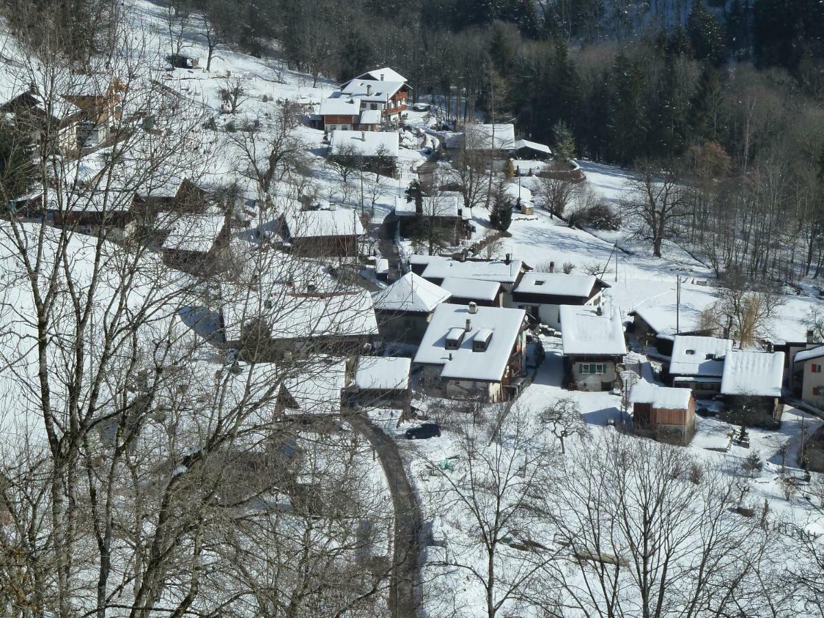 Villa La Petite Grange Villars-sur-Ollon Esterno foto