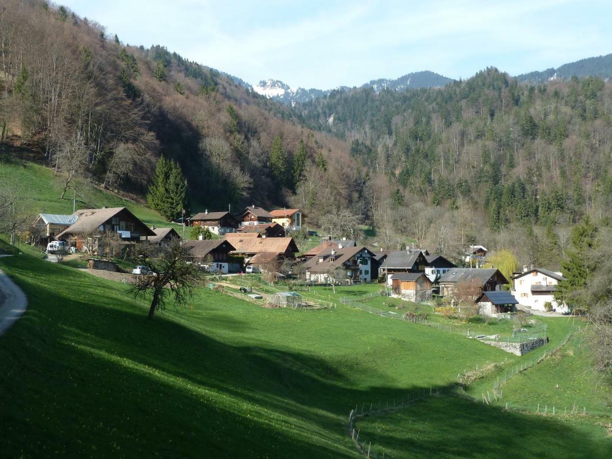 Villa La Petite Grange Villars-sur-Ollon Esterno foto