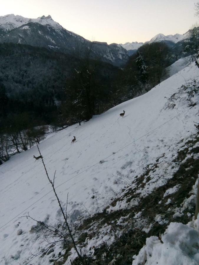 Villa La Petite Grange Villars-sur-Ollon Esterno foto